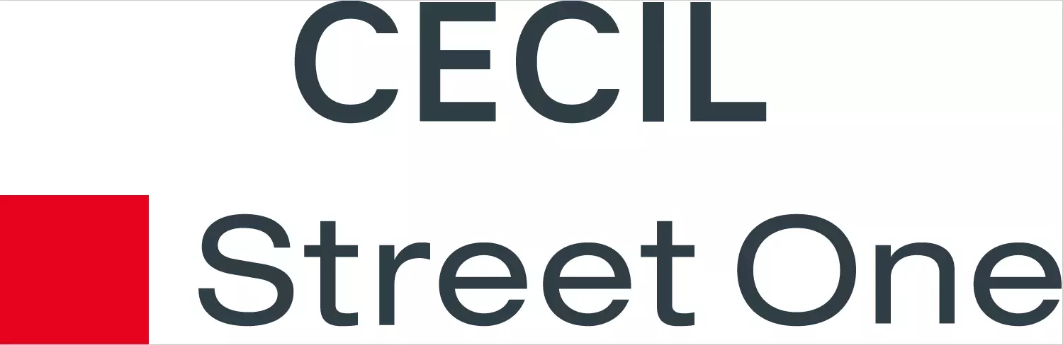 Street One / Cecil - Palais Vest
